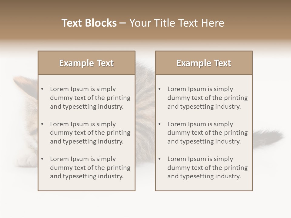 Sweet Feline Domestic PowerPoint Template