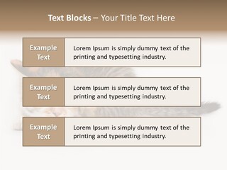 Sweet Feline Domestic PowerPoint Template