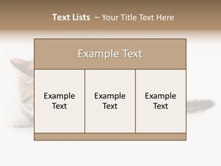 Sweet Feline Domestic PowerPoint Template