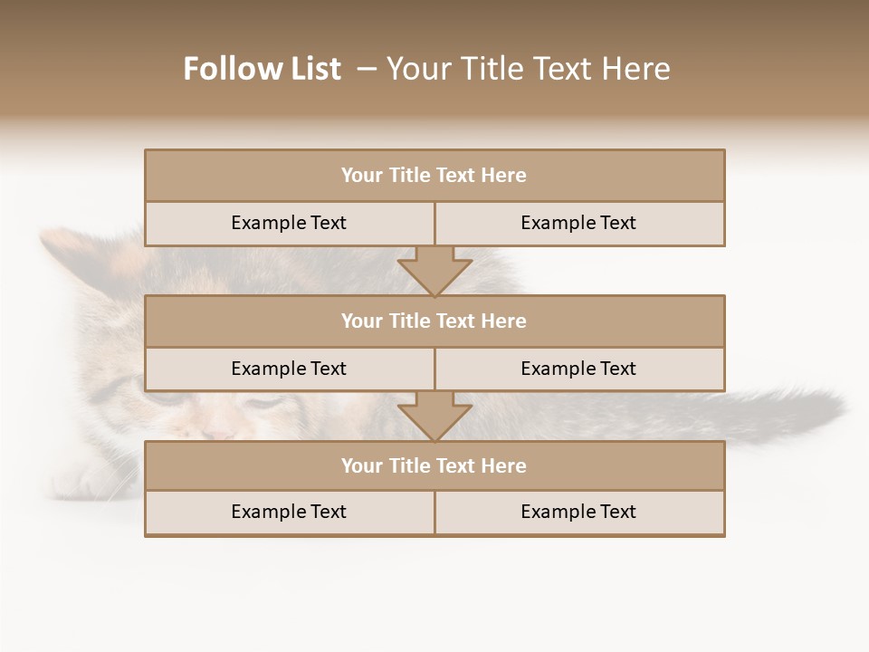 Sweet Feline Domestic PowerPoint Template