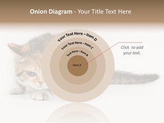 Sweet Feline Domestic PowerPoint Template