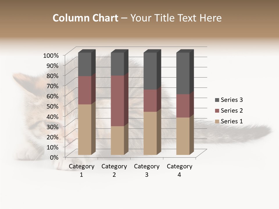 Sweet Feline Domestic PowerPoint Template