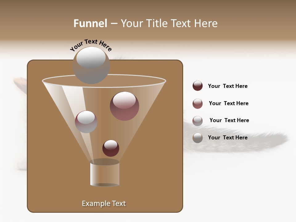 Sweet Feline Domestic PowerPoint Template