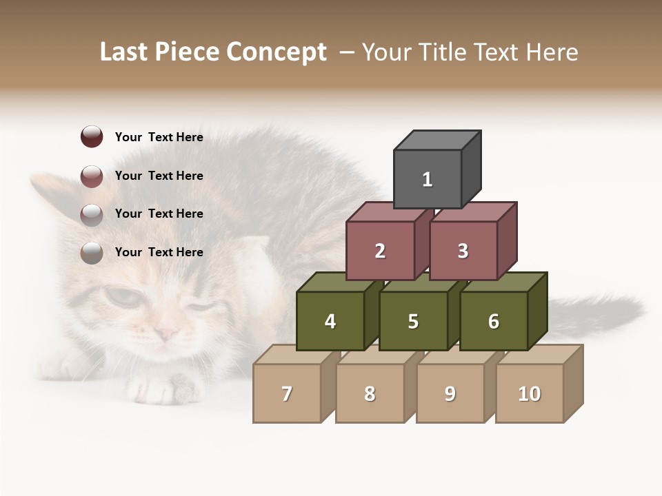 Sweet Feline Domestic PowerPoint Template