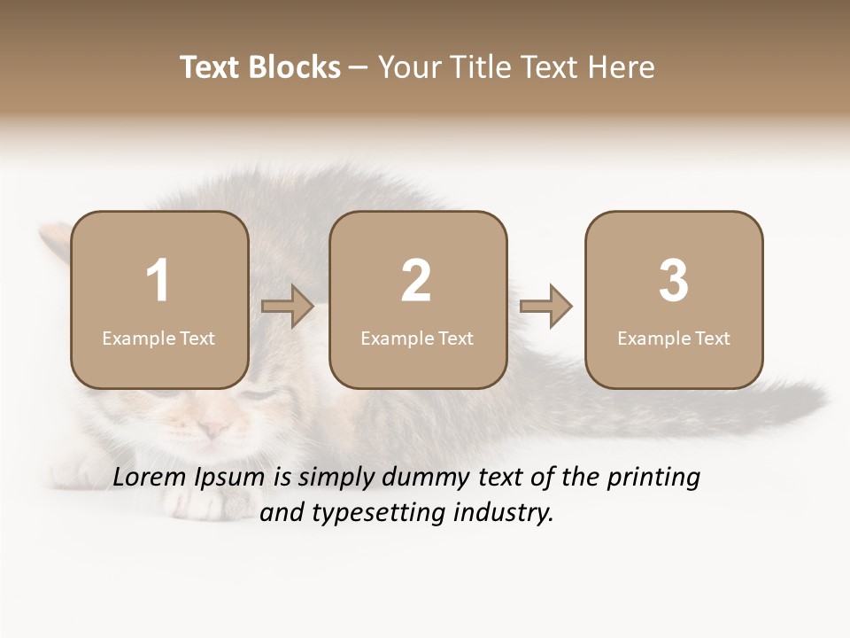 Sweet Feline Domestic PowerPoint Template