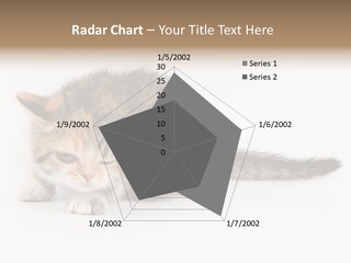 Sweet Feline Domestic PowerPoint Template