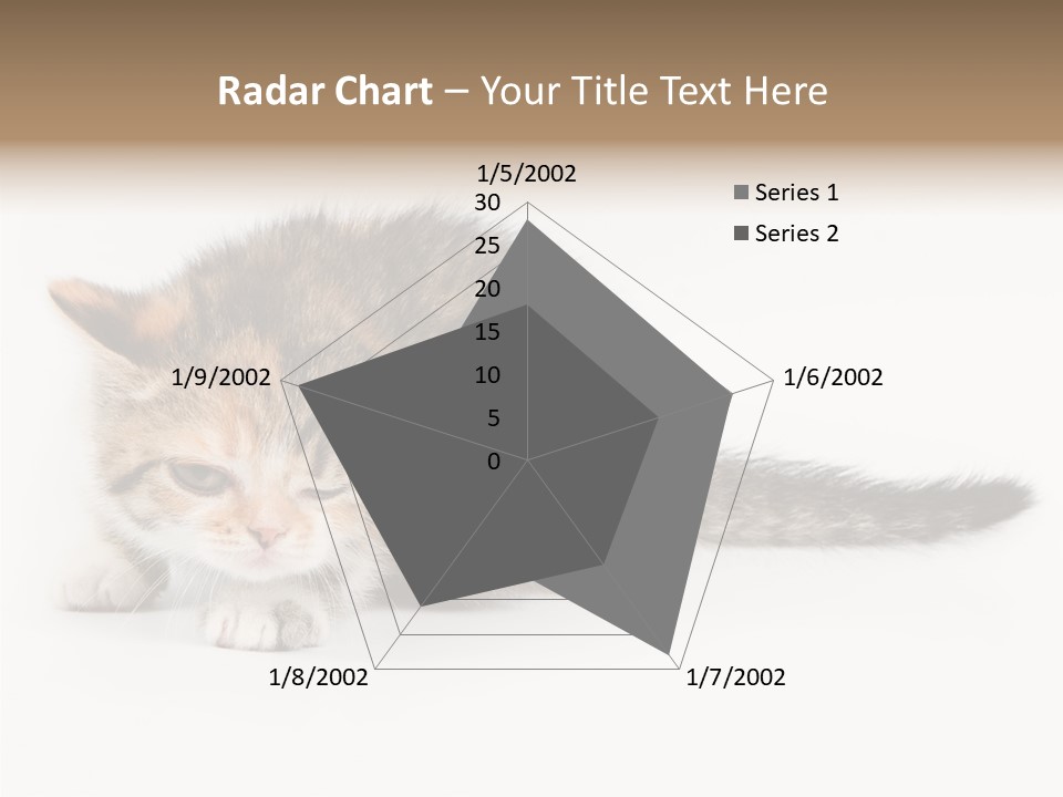 Sweet Feline Domestic PowerPoint Template