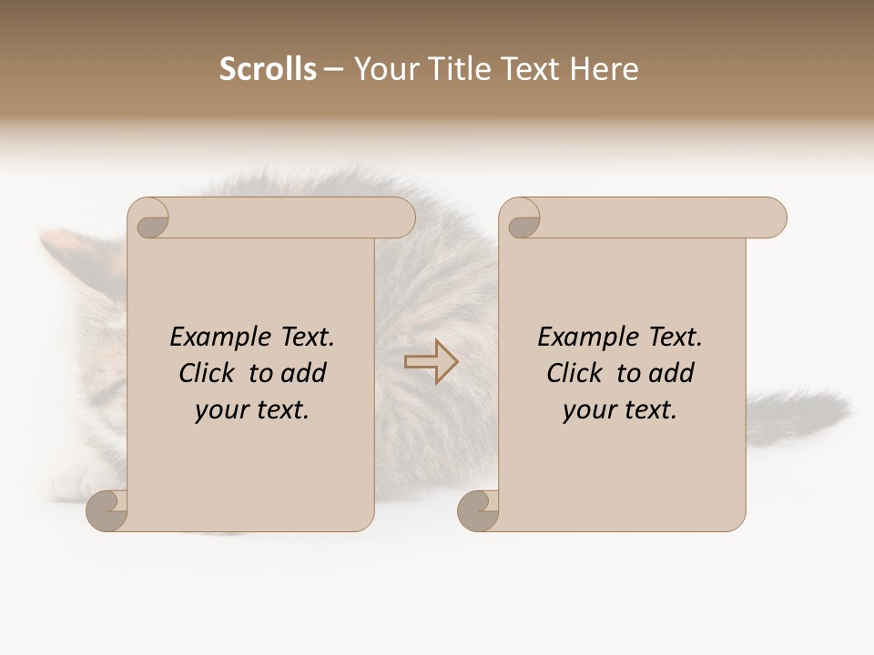 Sweet Feline Domestic PowerPoint Template