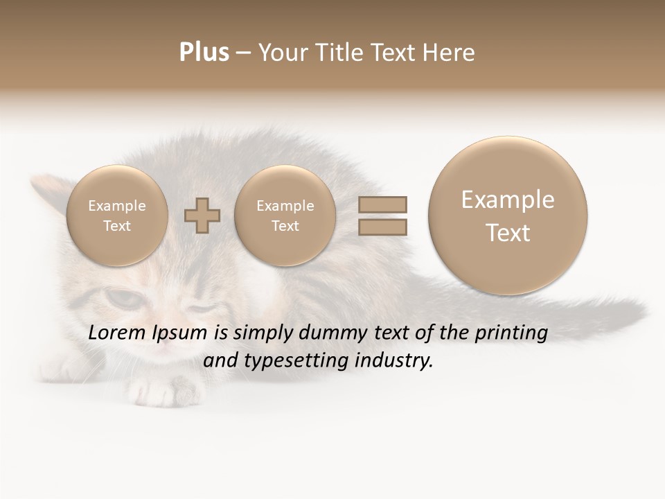 Sweet Feline Domestic PowerPoint Template