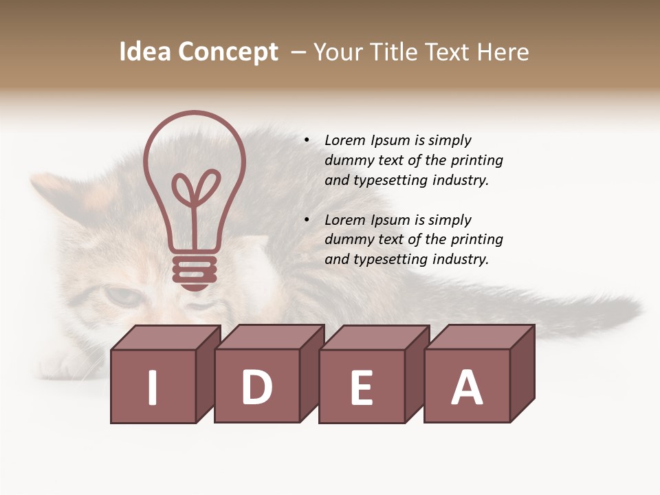 Sweet Feline Domestic PowerPoint Template