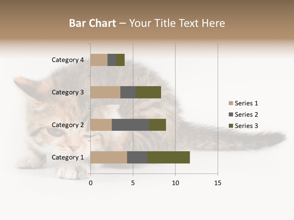Sweet Feline Domestic PowerPoint Template