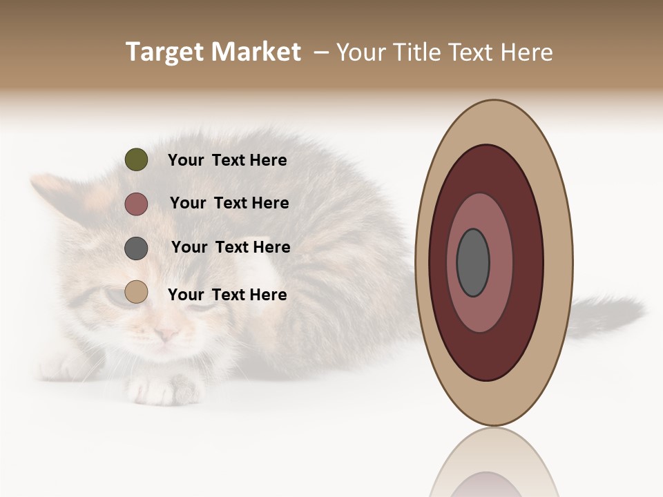 Sweet Feline Domestic PowerPoint Template