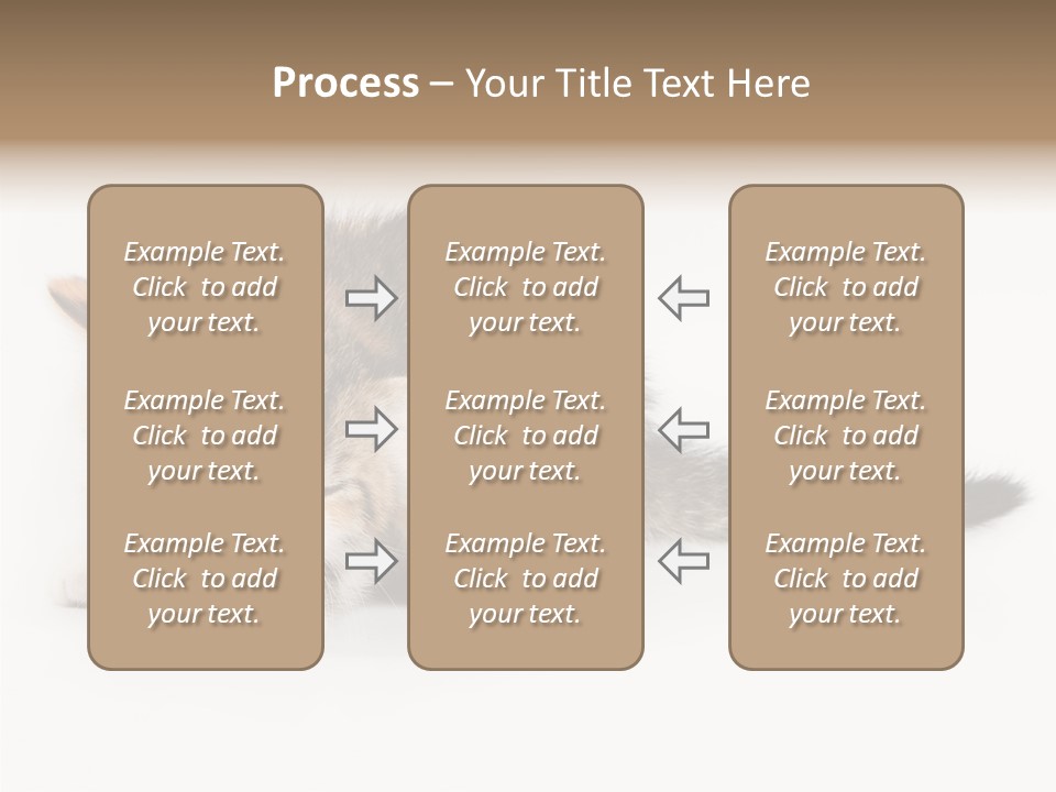 Sweet Feline Domestic PowerPoint Template