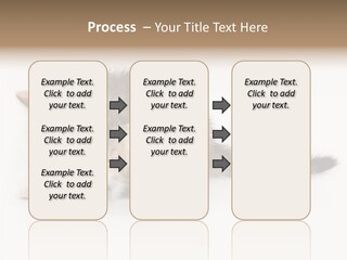 Sweet Feline Domestic PowerPoint Template
