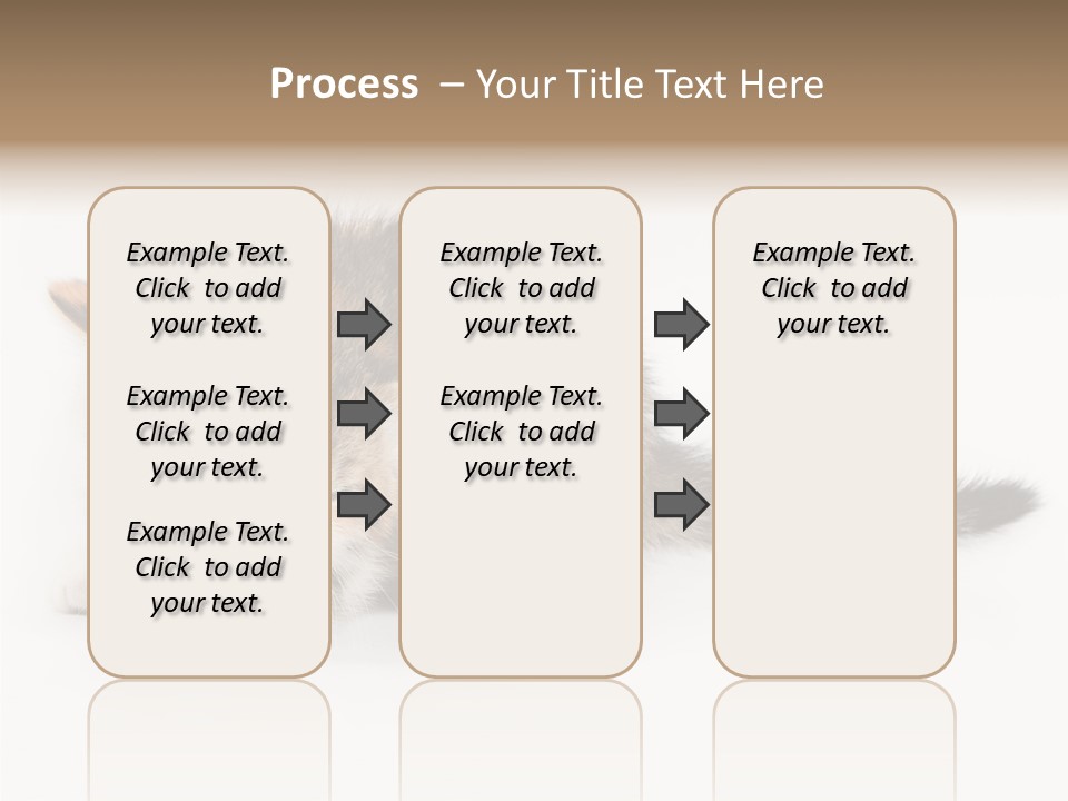 Sweet Feline Domestic PowerPoint Template