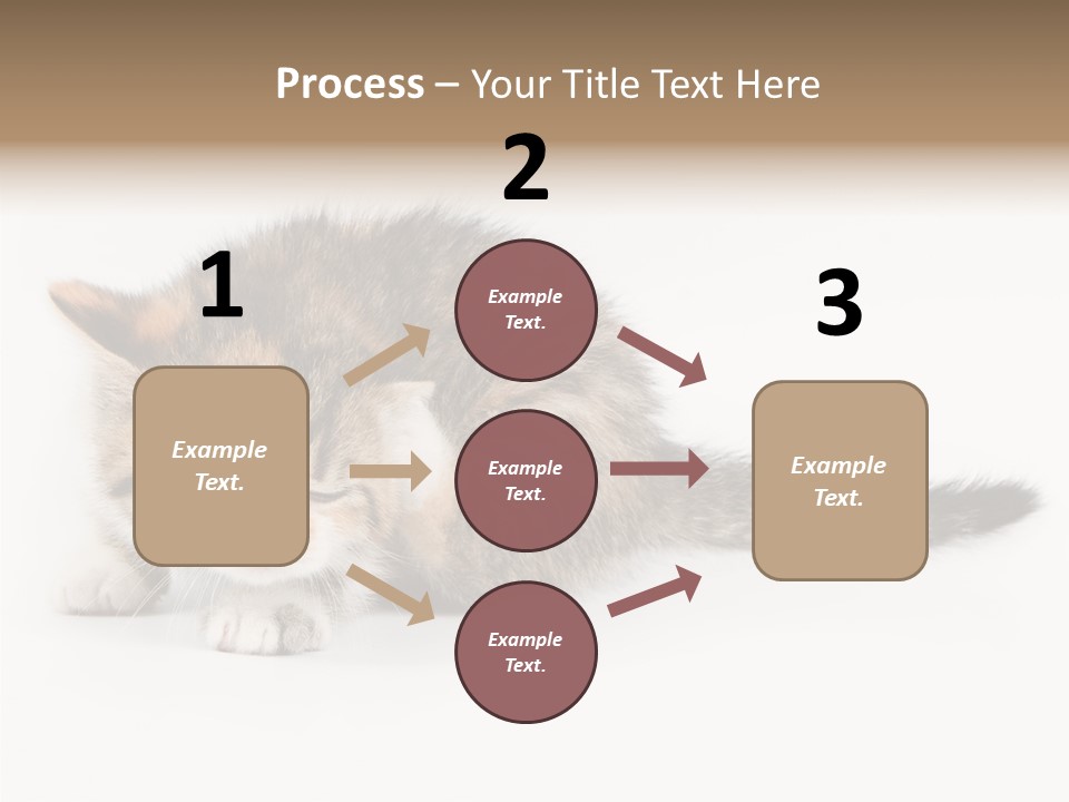 Sweet Feline Domestic PowerPoint Template