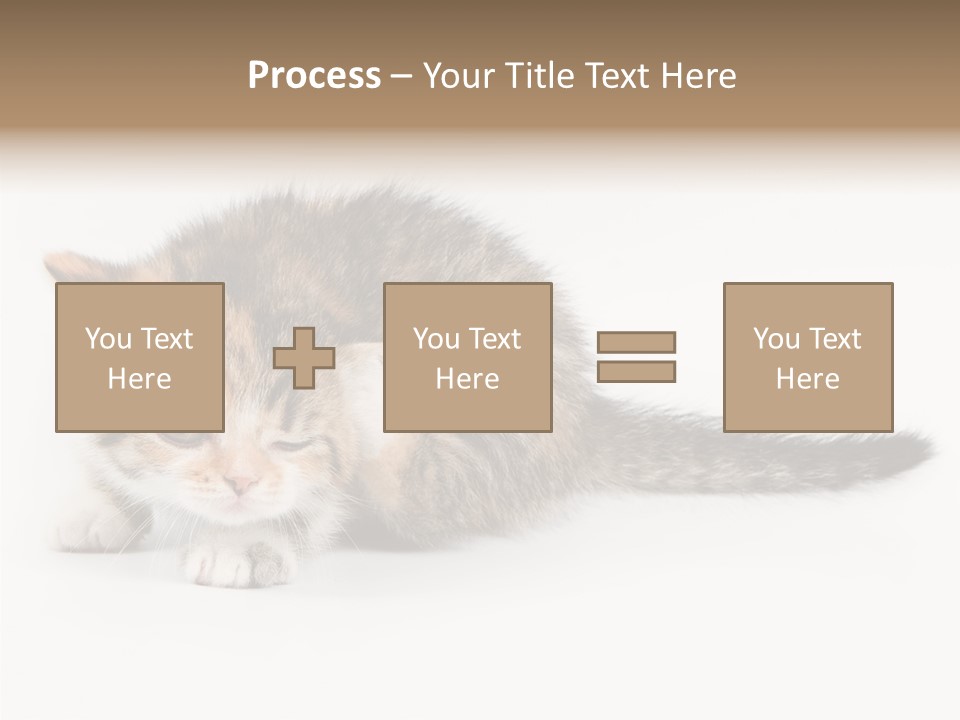 Sweet Feline Domestic PowerPoint Template