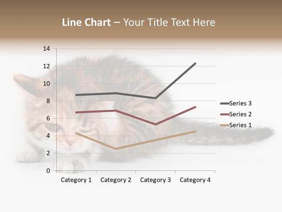 Sweet Feline Domestic PowerPoint Template