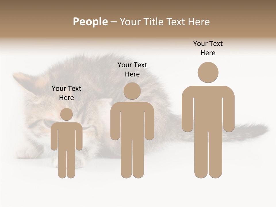 Sweet Feline Domestic PowerPoint Template