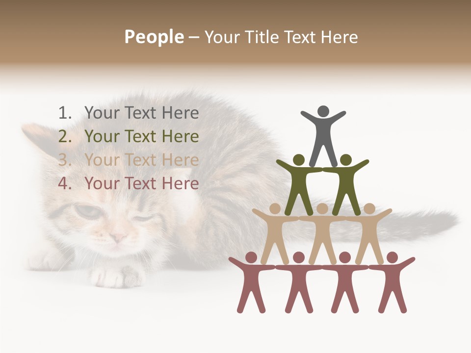 Sweet Feline Domestic PowerPoint Template