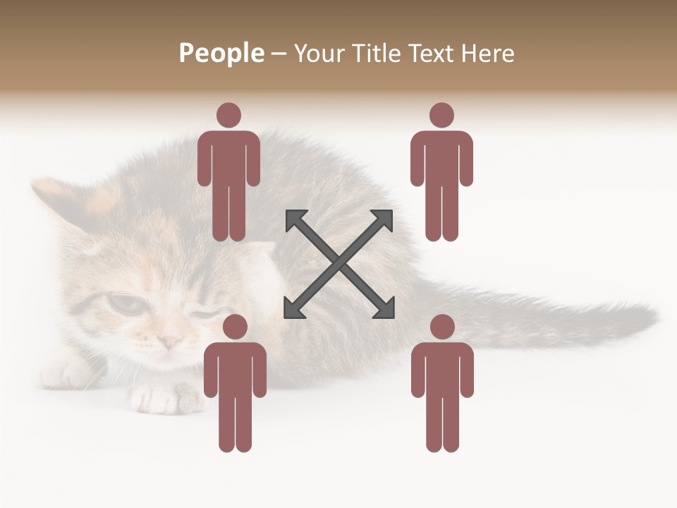 Sweet Feline Domestic PowerPoint Template