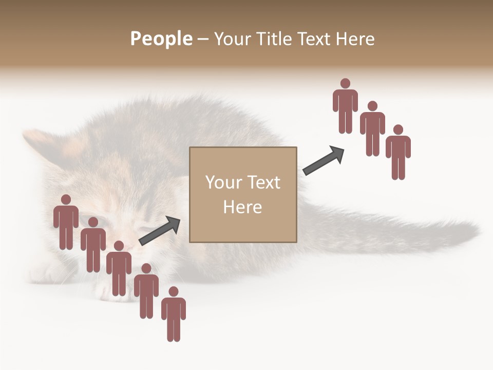 Sweet Feline Domestic PowerPoint Template