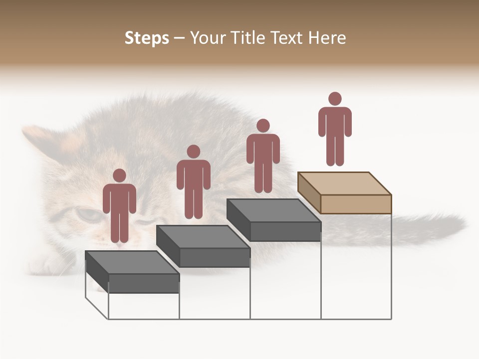 Sweet Feline Domestic PowerPoint Template