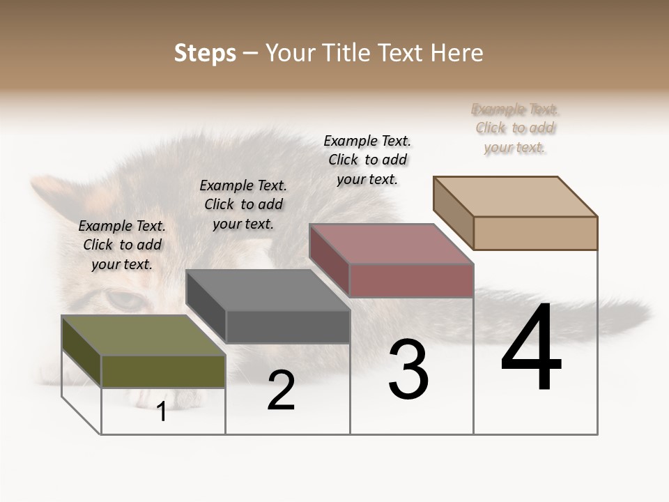 Sweet Feline Domestic PowerPoint Template