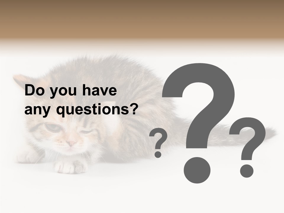Sweet Feline Domestic PowerPoint Template