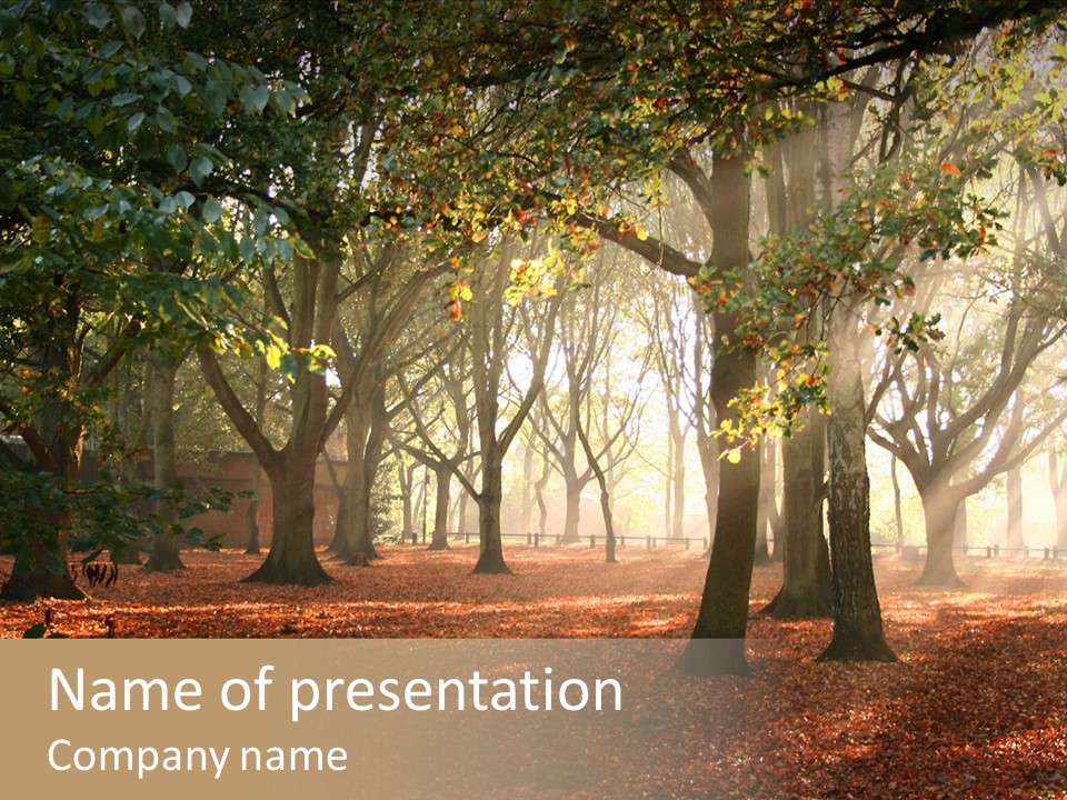Branch Gold Ground PowerPoint Template
