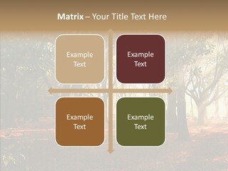 Branch Gold Ground PowerPoint Template