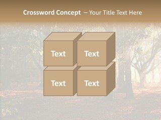 Branch Gold Ground PowerPoint Template