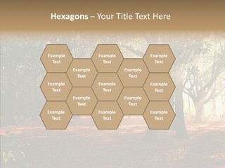 Branch Gold Ground PowerPoint Template