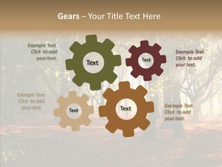 Branch Gold Ground PowerPoint Template