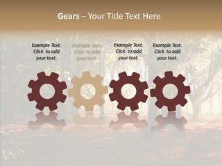 Branch Gold Ground PowerPoint Template