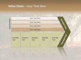 Branch Gold Ground PowerPoint Template
