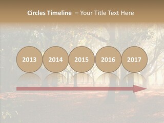 Branch Gold Ground PowerPoint Template