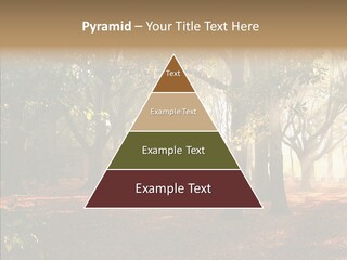 Branch Gold Ground PowerPoint Template