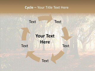 Branch Gold Ground PowerPoint Template