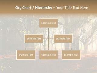 Branch Gold Ground PowerPoint Template