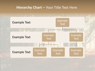Branch Gold Ground PowerPoint Template