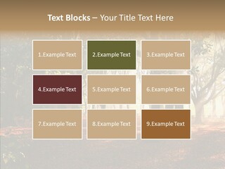 Branch Gold Ground PowerPoint Template