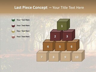 Branch Gold Ground PowerPoint Template
