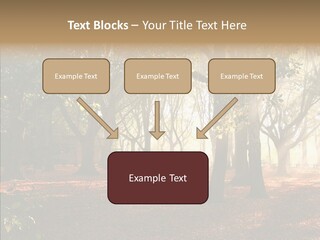 Branch Gold Ground PowerPoint Template
