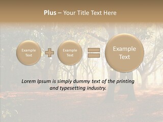 Branch Gold Ground PowerPoint Template