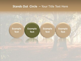 Branch Gold Ground PowerPoint Template
