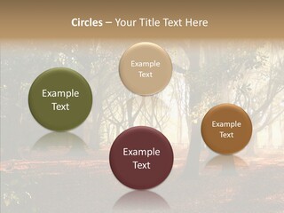 Branch Gold Ground PowerPoint Template