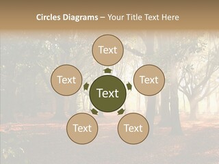 Branch Gold Ground PowerPoint Template