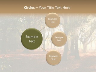 Branch Gold Ground PowerPoint Template