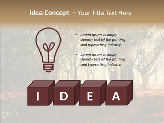 Branch Gold Ground PowerPoint Template